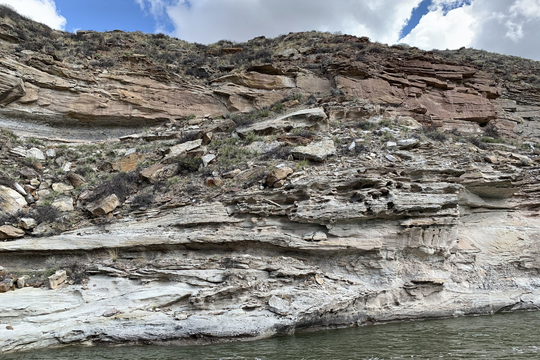 Dog Rescue Cliff